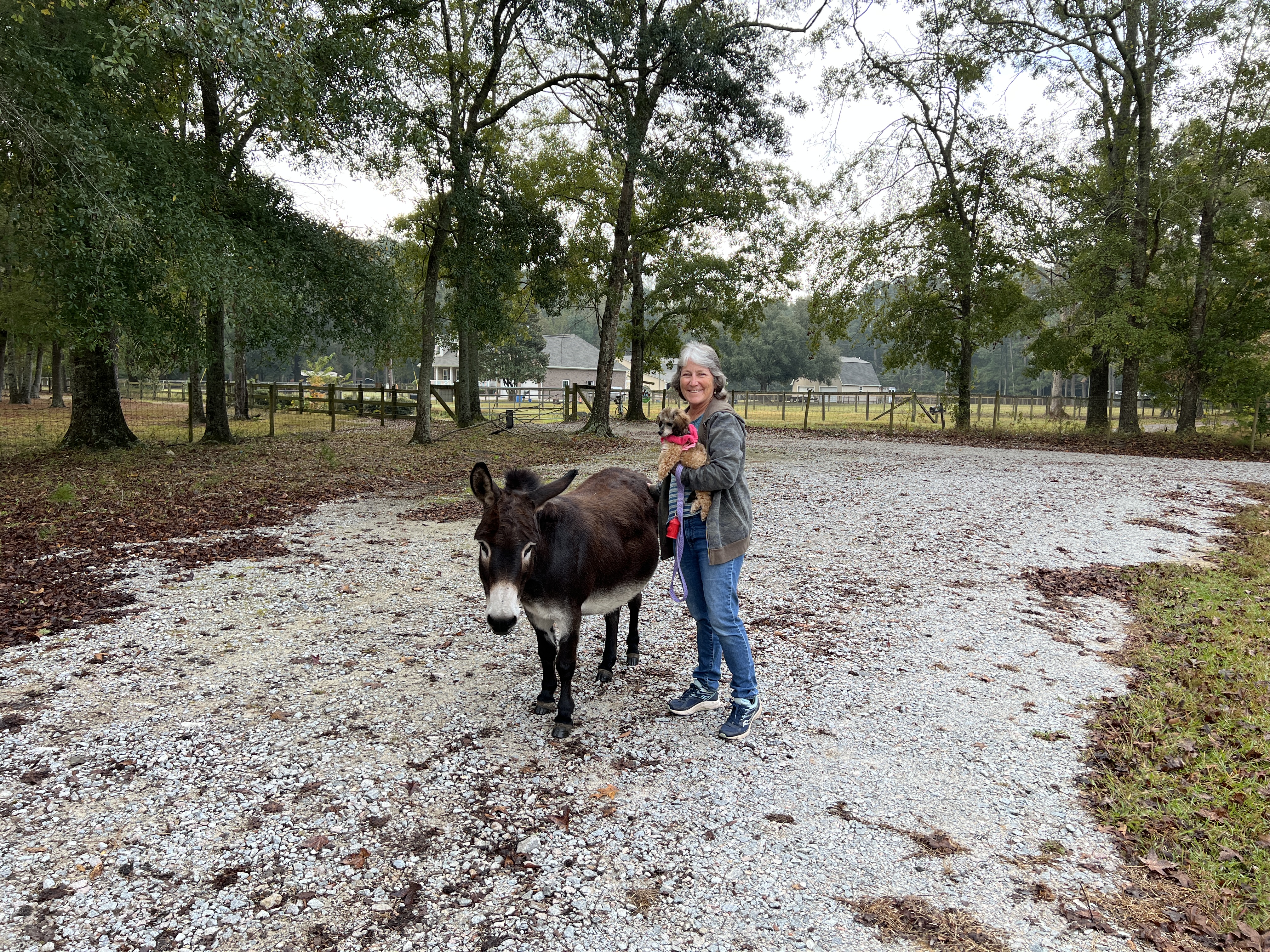 ./2025/12 - Pembroke Pines Wedding/IMG_7607.JPG